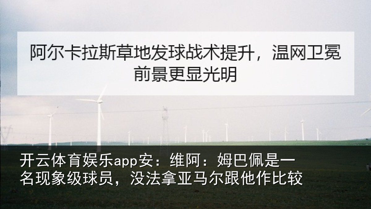 开云体育娱乐app安:维阿相关情况级球相关情况他作比较